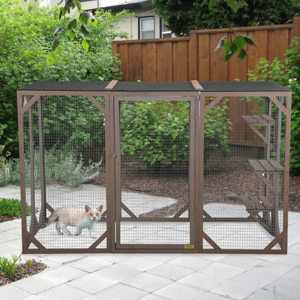 Outdoor Cat Cage Wayfair